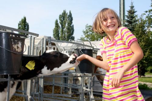 14 august dresden - 123