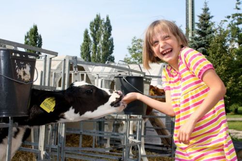 14 august dresden - 124