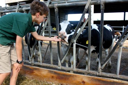 14 august dresden - 108