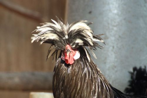 IMG_2287.JPG IMG_2287.JPG