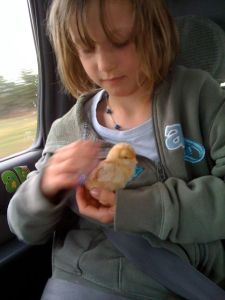 IMG_0020.JPG IMG_0020.JPG