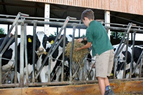 14 august dresden - 117