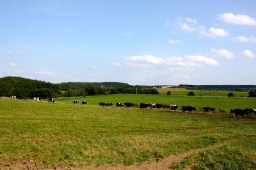 14 august dresden - 122