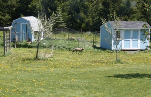 Dad's visit May 09 - 20 Dad's visit May 09 - 20