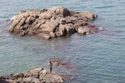 Liliana discovers a dead creature